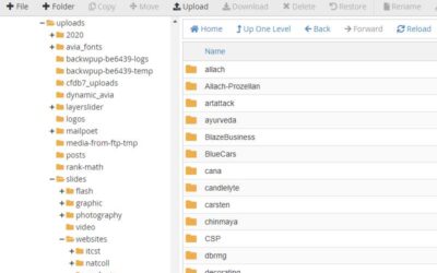 How to create and maintain a custom folder structure in WordPress