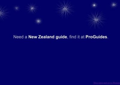 ProGuides Intro Flash Animation;