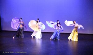 Belly Dance performance
