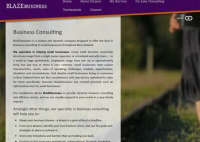 BLAZEbusiness Business Consulting page